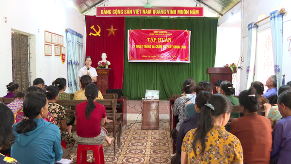Trung tâm Dịch vụ công ích xã Điềm He tập huấn kỹ thuật trồng, chăm sóc cây khoai lang.