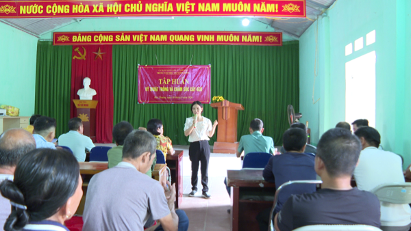 Trung tâm học tập cộng đồng xã Điềm He tập huấn kỹ thuật trồng, chăm sóc cây Keo và chăm sóc, phòng ngừa sâu bệnh cho cây Lúa